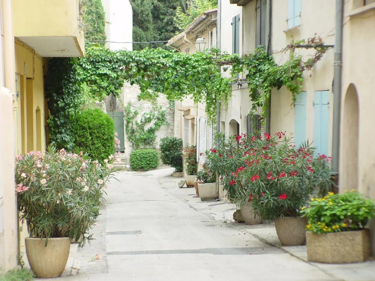 Best Restaurants in Saint-Tropez: Where to Eat Guide