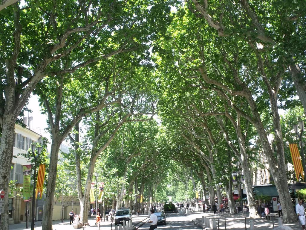 Cours Mirabeau, Aix-en-Provence: What to See on the Avenue