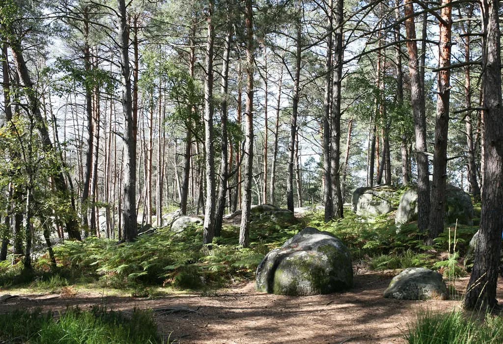 Fontainebleau in October: Bouldering, Weather & Town Guide