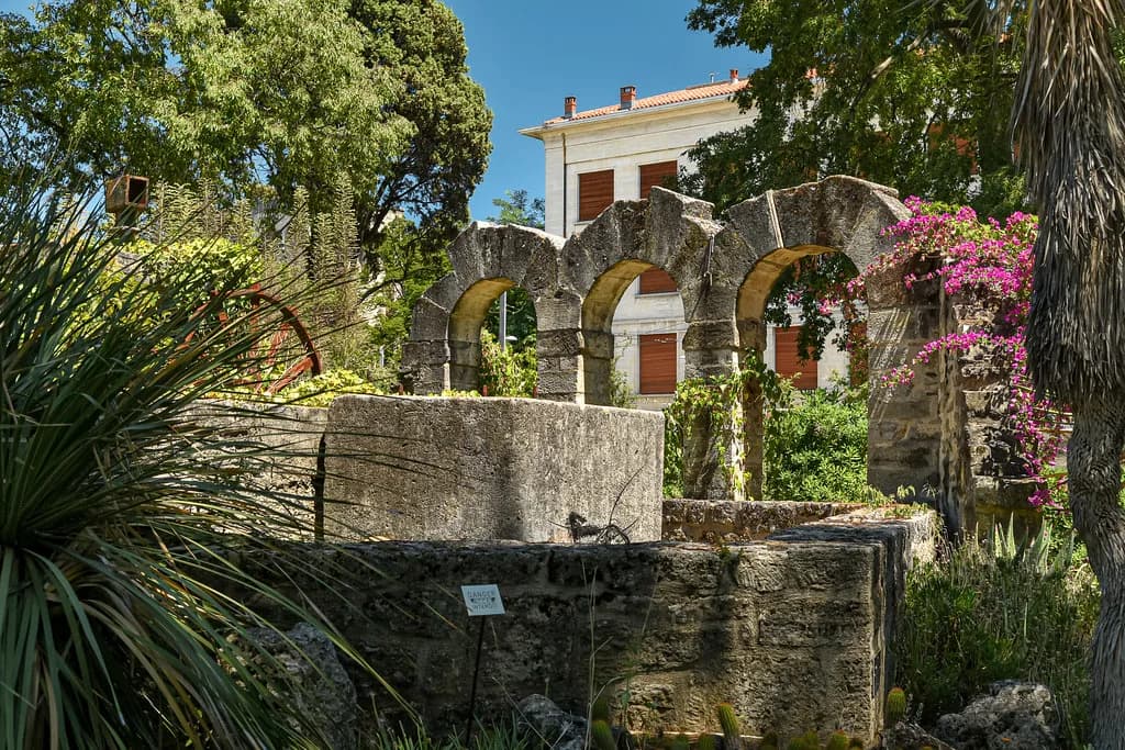 Jardin des Plantes Montpellier: What to See & Decide