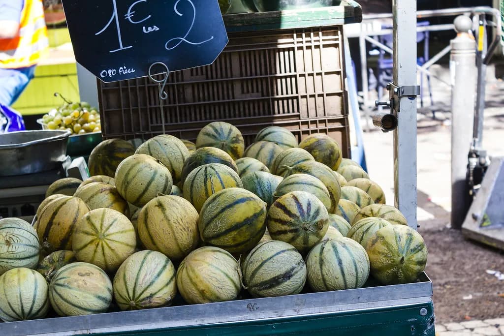 Markets in Marseille: Which Day and What to Expect