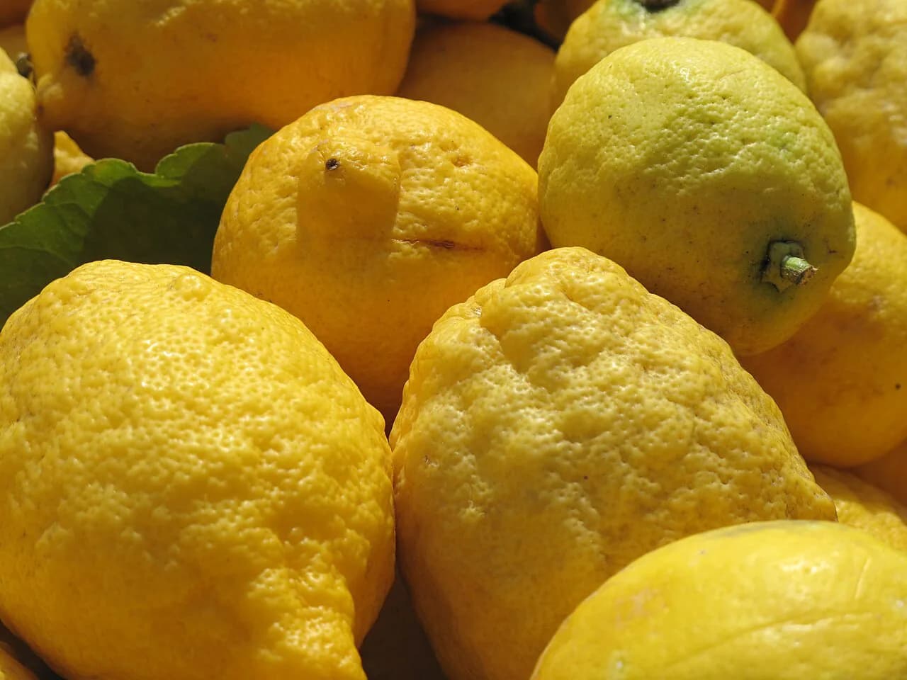 Menton Market: The Halles, Market Days and How to Visit