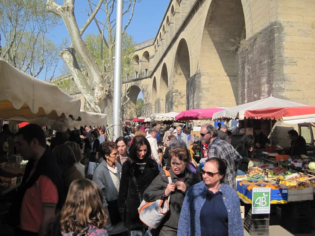 Montpellier Markets: Which Ones to Visit and When