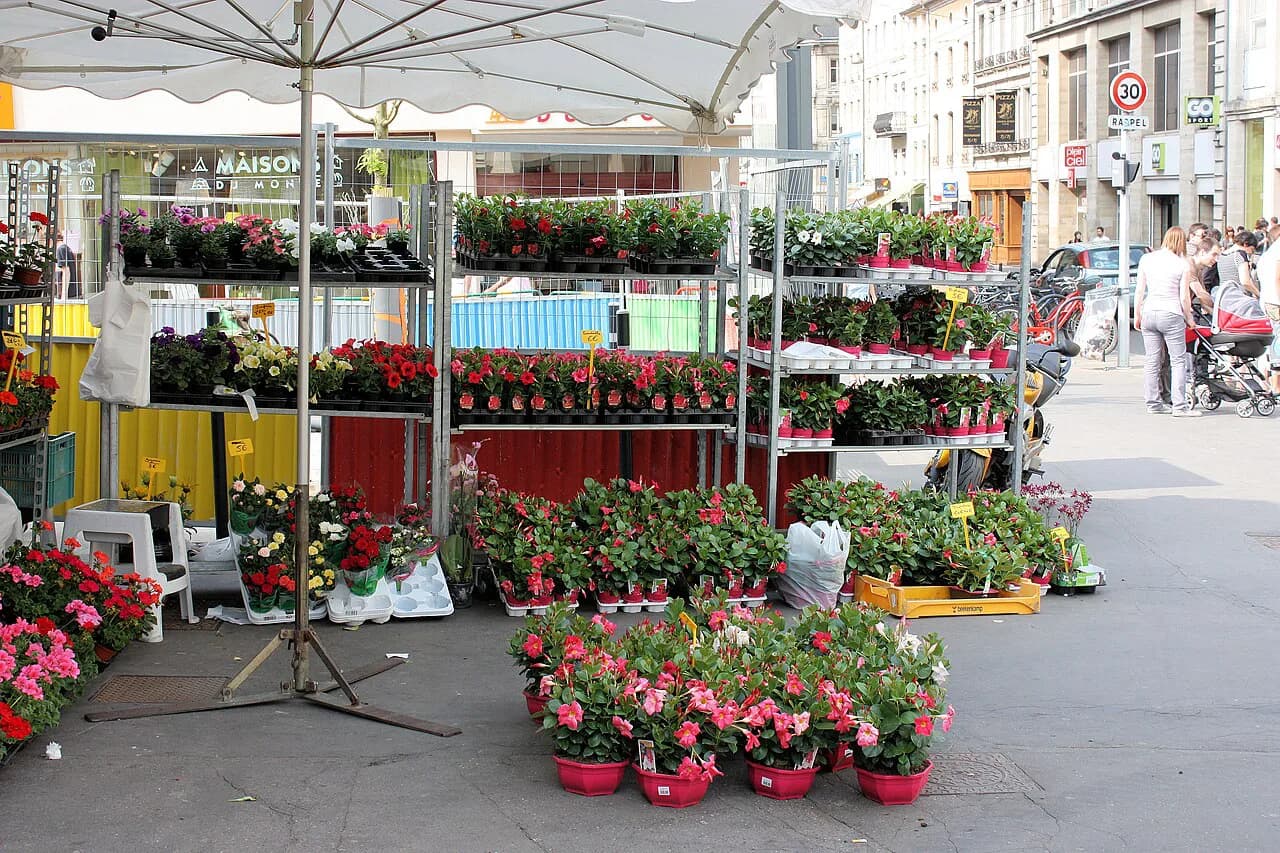 Markets in Nancy: Which Days to Go and What to Buy