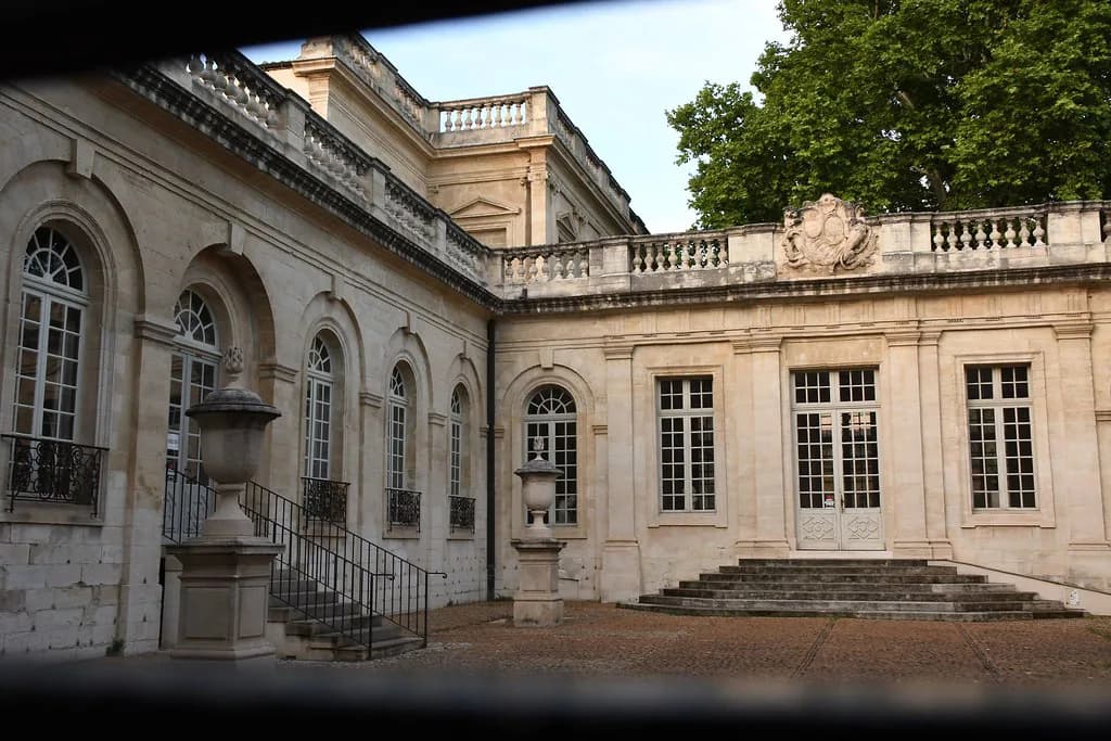 Musée Calvet, Avignon: What to See and When to Go