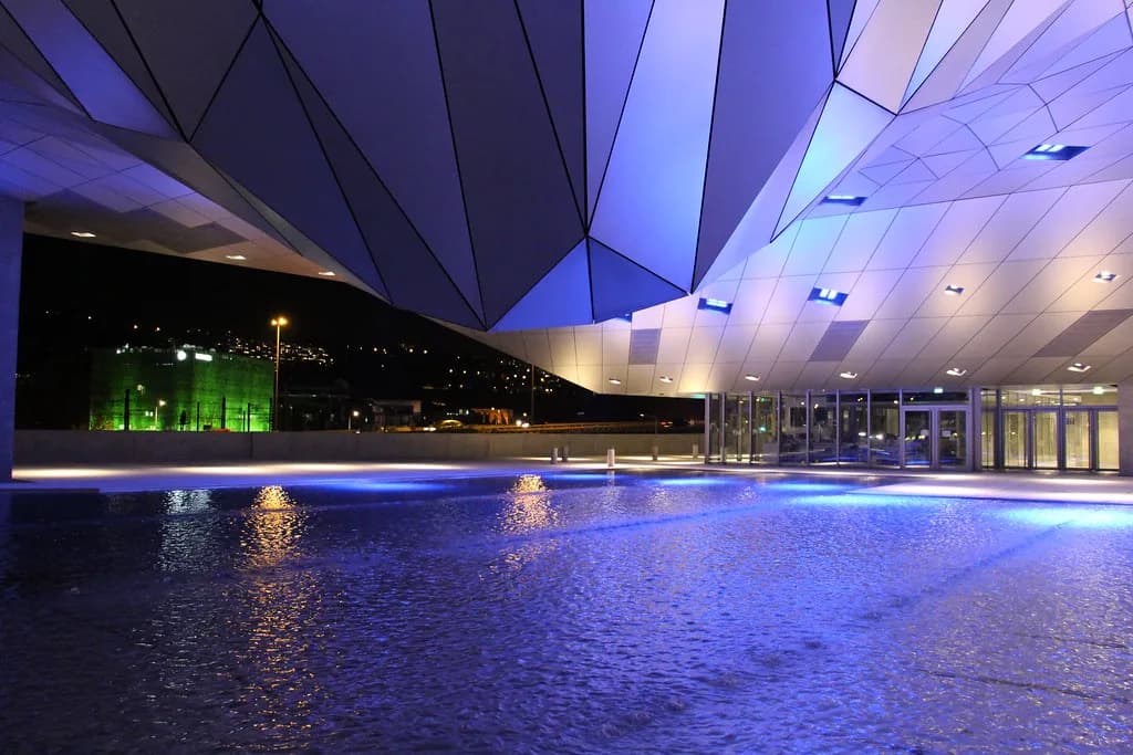 Musée des Confluences Lyon: What to See and How Long