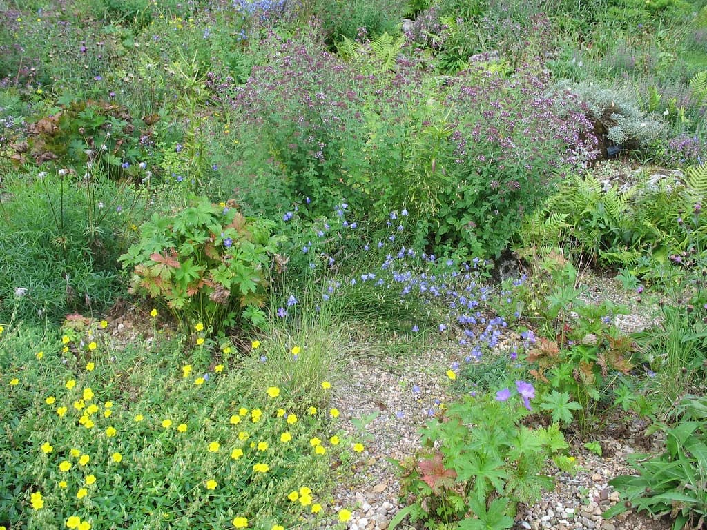 Parc Floral de la Source, Orléans: A Visitor's Guide