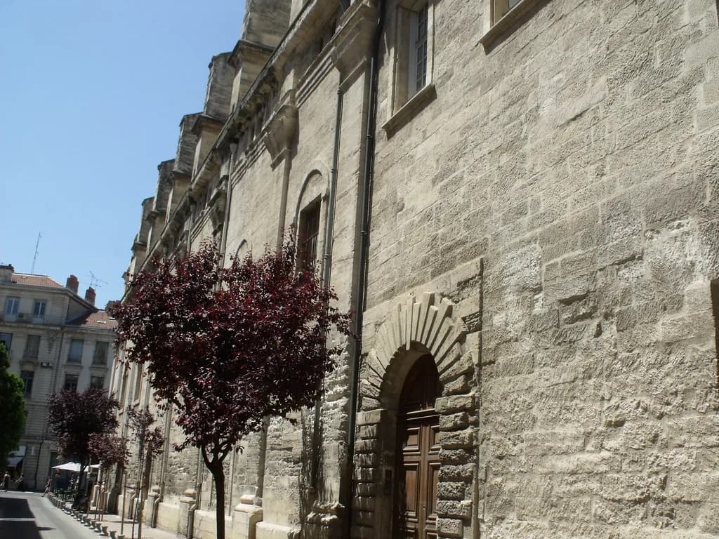 Shopping in Avignon: Streets, Shops and What to Buy