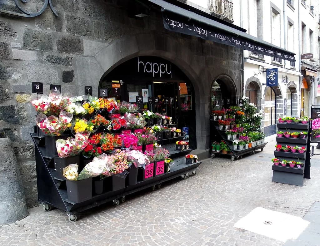 Shopping in Clermont-Ferrand: Where to Shop and What to Buy