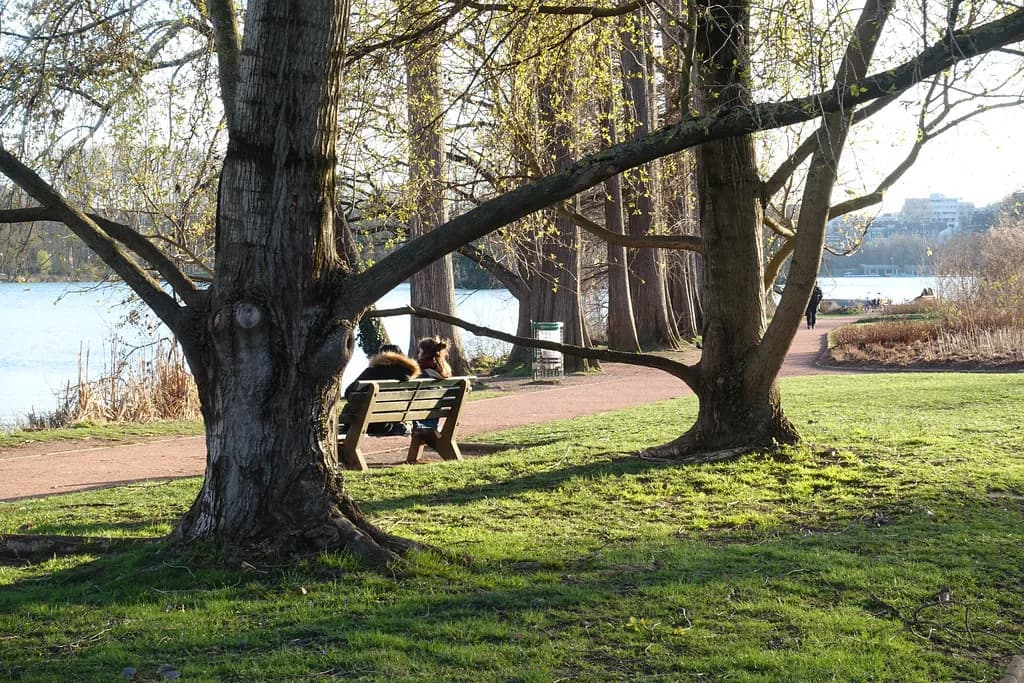 Parks in Lyon: Green Spaces Worth a Detour