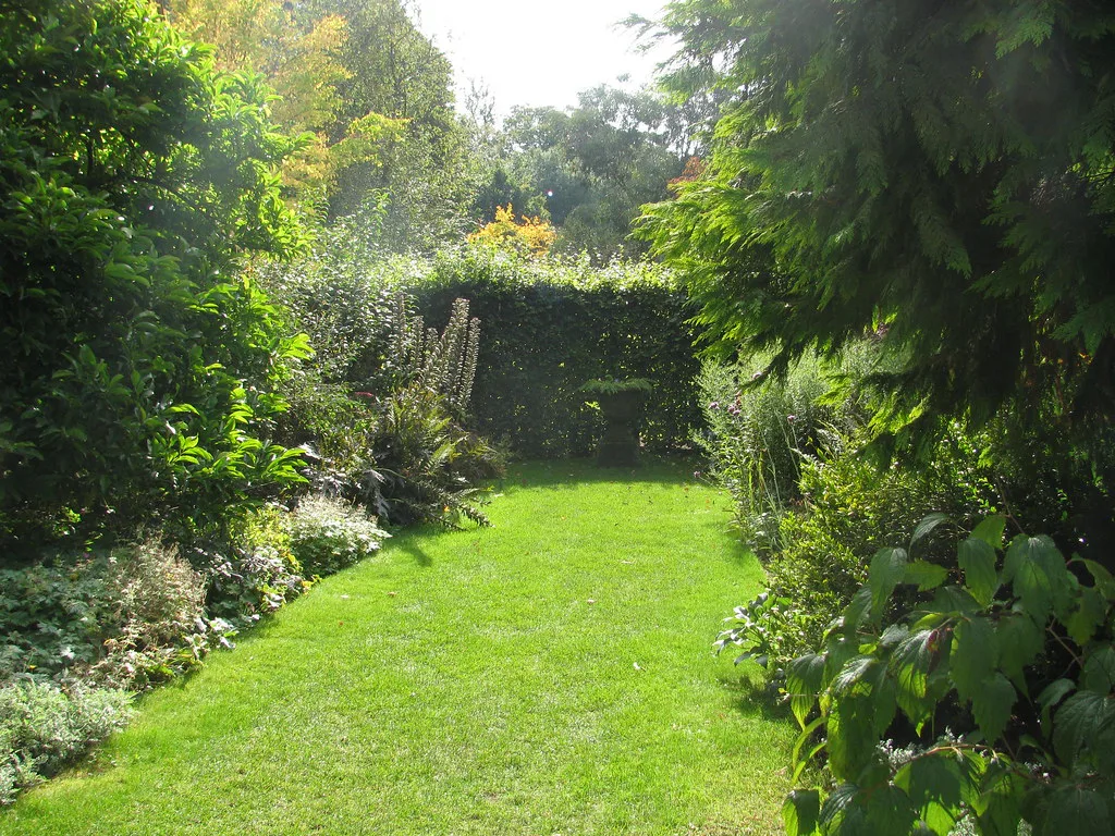 Barnsdale Versailles borders