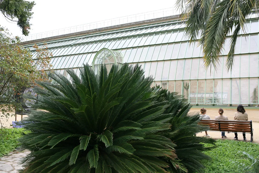 Jardin des plantes, Montpellier