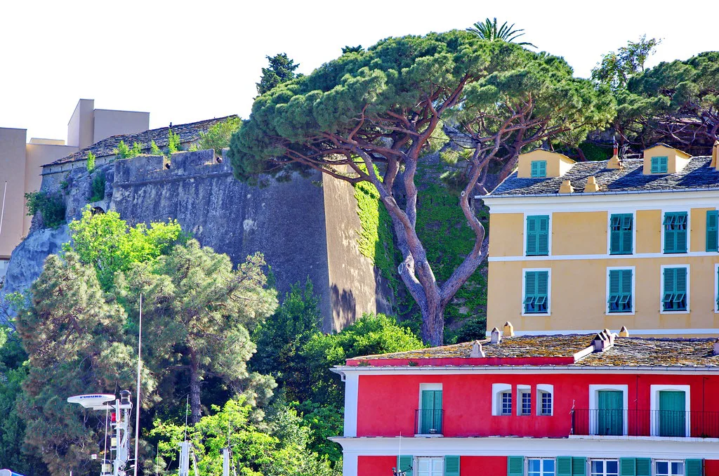 Corse - Bastia 90 un pin au-dessus du Vieux Port