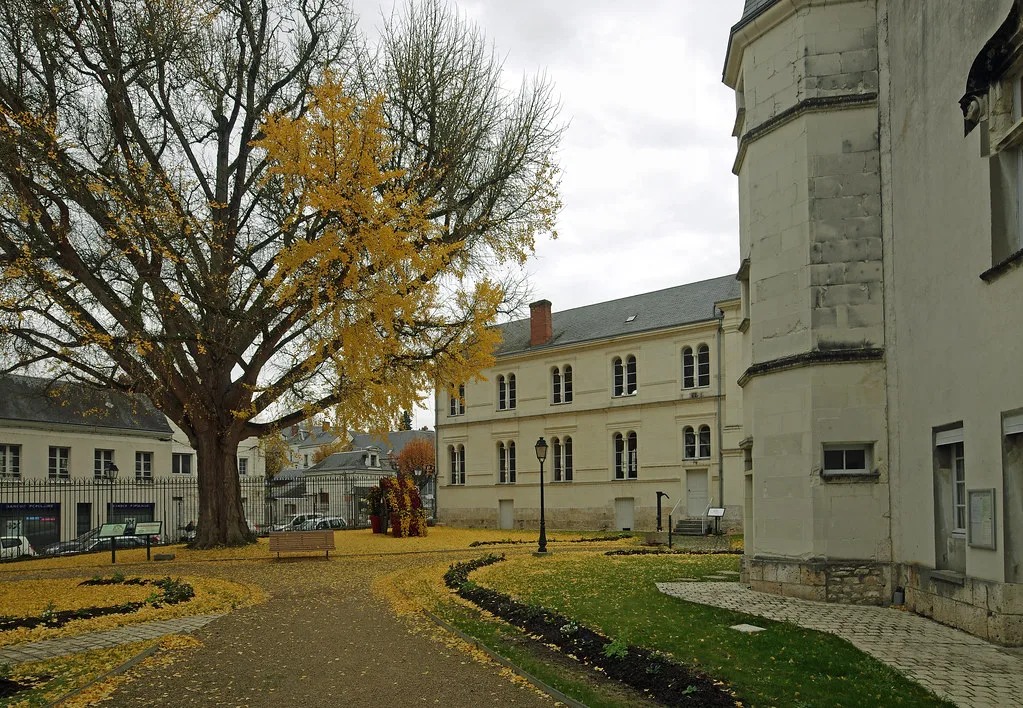 Montrichard (Loir-et-Cher), Beaune