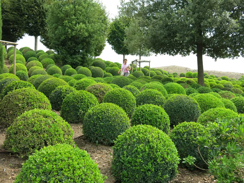Amboise, France