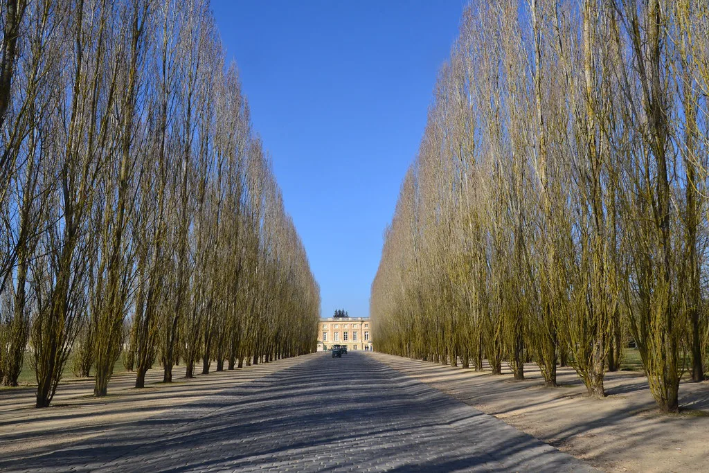 allée d'hiver, Versailles