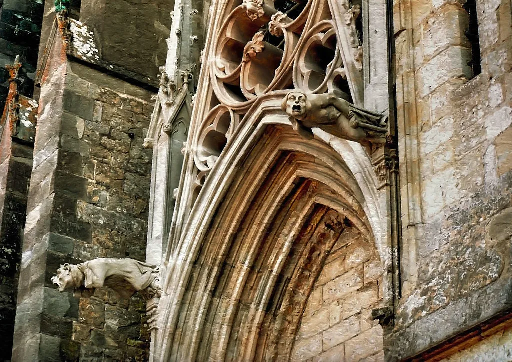 Venue view: gargoyles of the Cathédrale Saint-Michel in Carcassonne, France. Resized and converted to WebP.