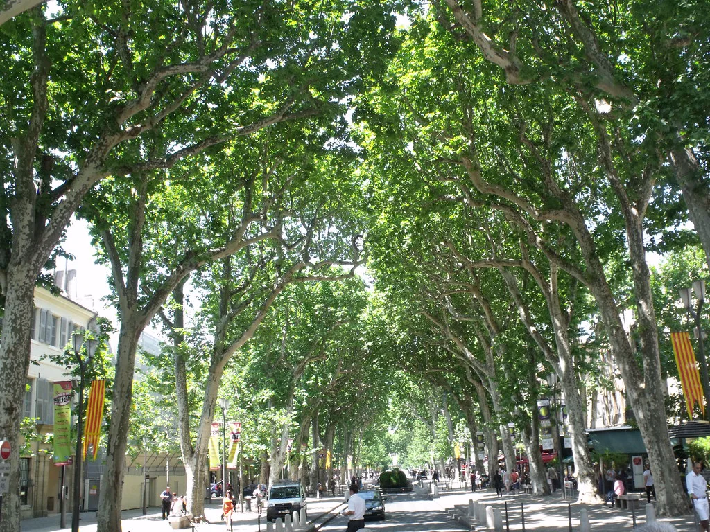 Destination view: Aix-en-Provence, France. Resized and converted to WebP.