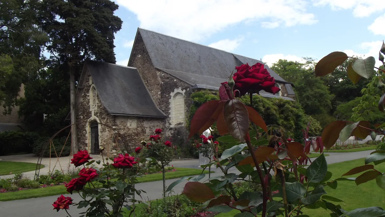 Venue view: L'église Saint-Samson within the Jardin des Plantes d'Angers, framed by roses. Resized and converted to WebP.