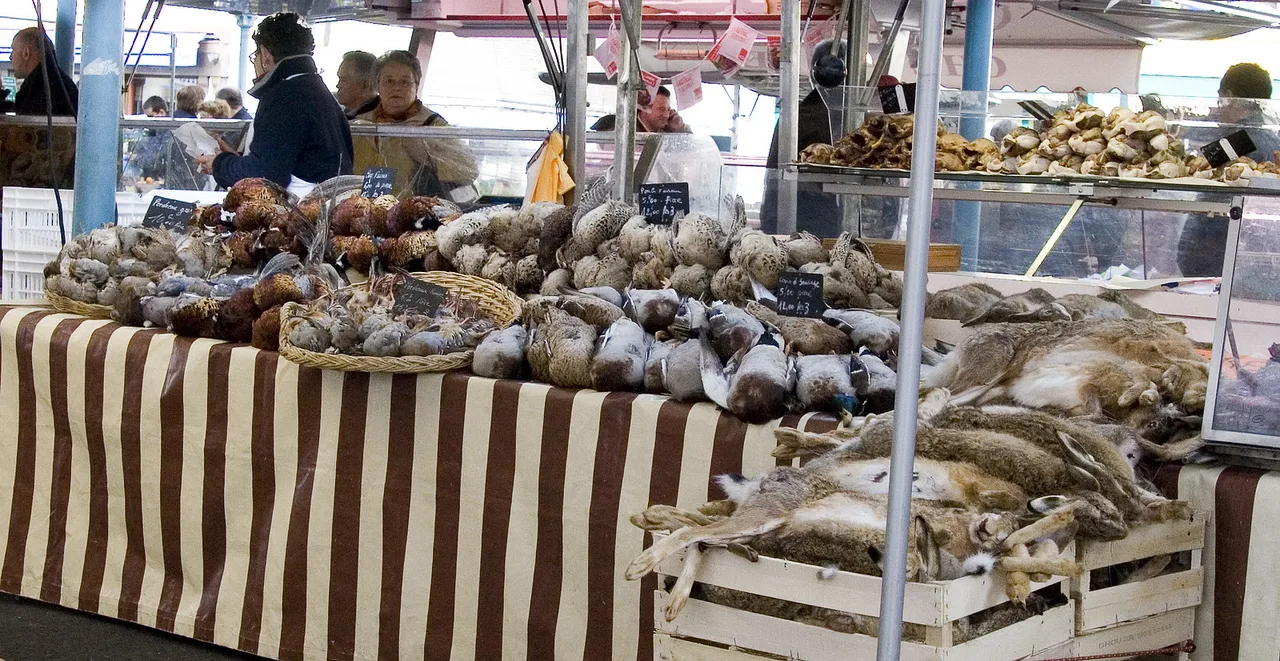 Les chasses, Chartres