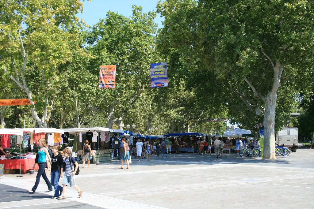 ambiance de marché (MONTPELLIER,FR