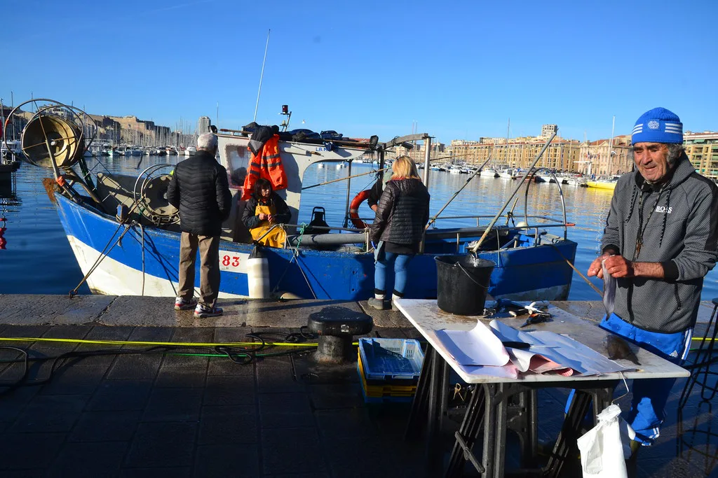 Pêcheurs sur le vieux port, Marseille