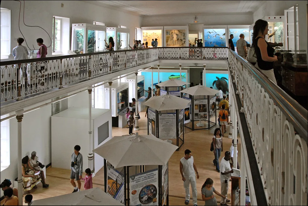 Le Muséum d'histoire naturelle de Saint-Denis de la Réunion, Strasbourg