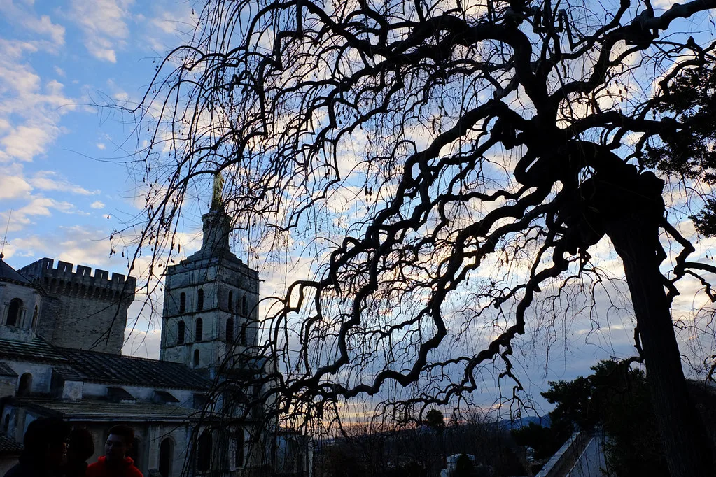 Avignon, France