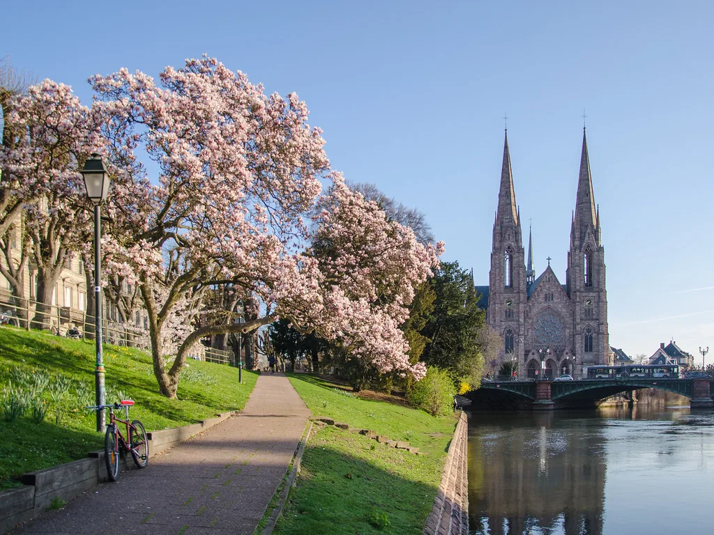 Le quai Koch à l'heure du Printemps, Strasbourg