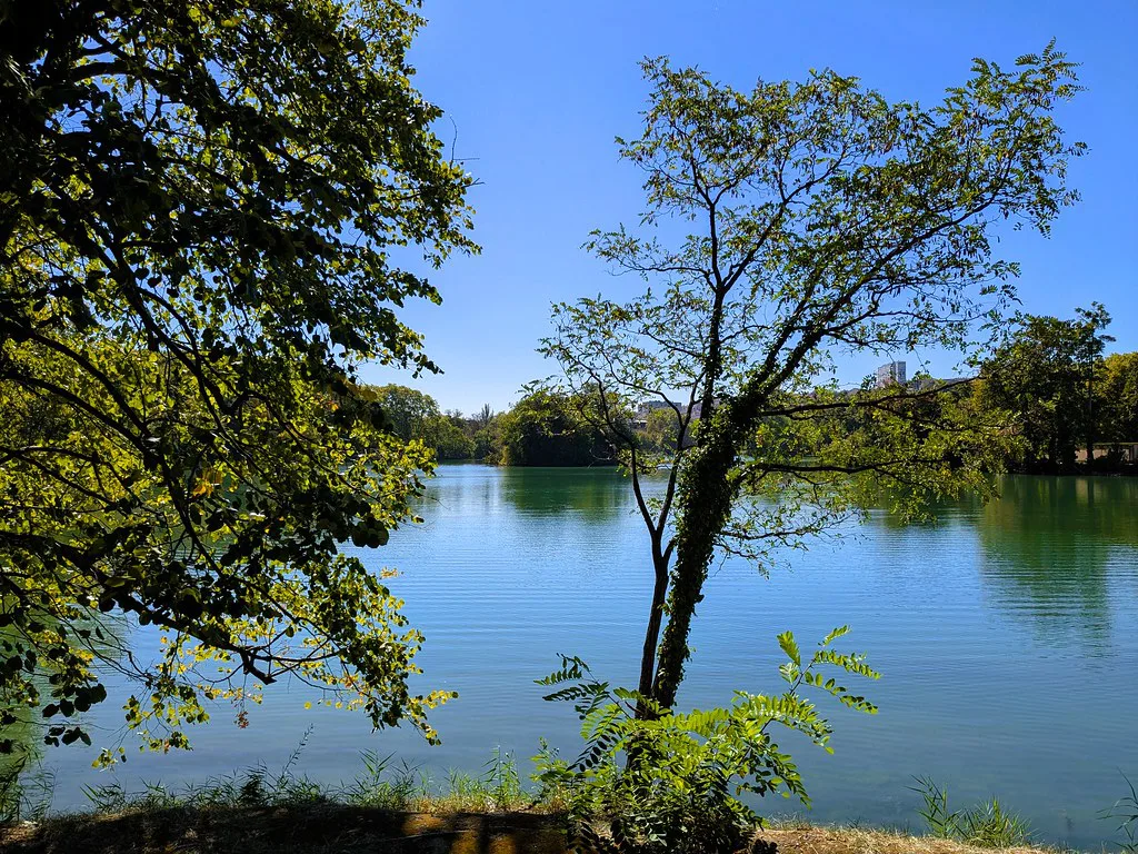 Venue view: the lake in Lyon's Parc de la Tête d'Or. Resized and converted to WebP.