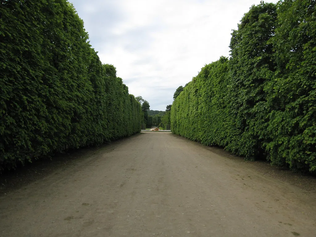 Street in Versailles, France